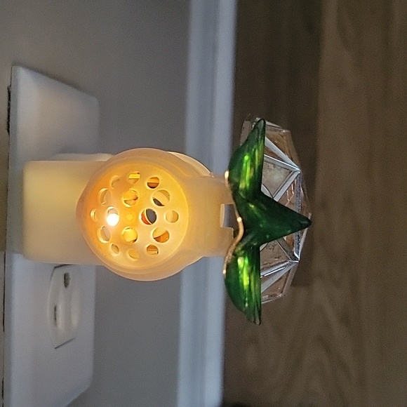 Pineapple Wallflower Plug - Picture 3 of 8